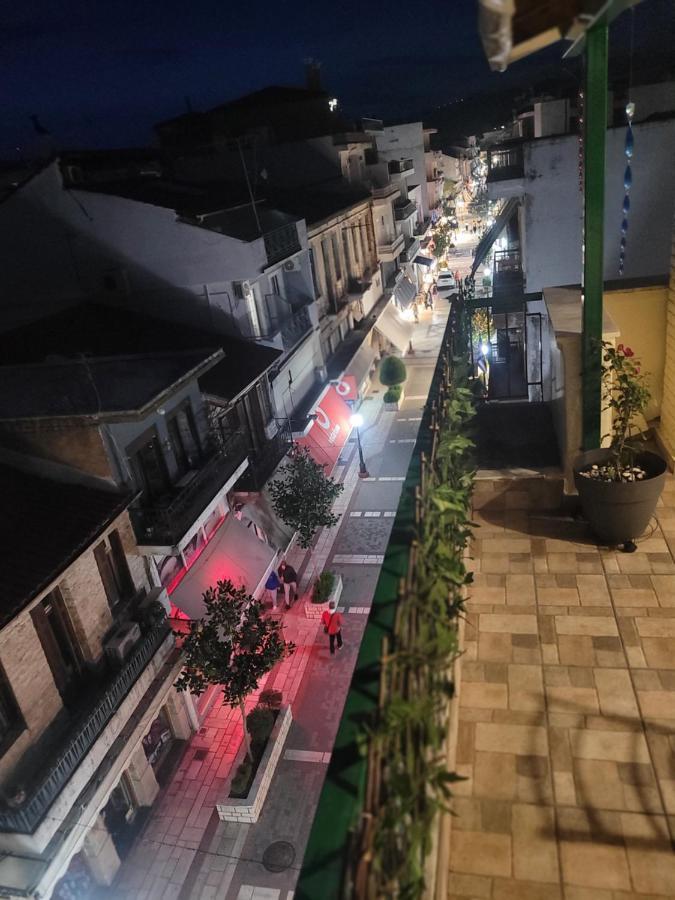 Marge Apt Arta Exterior photo